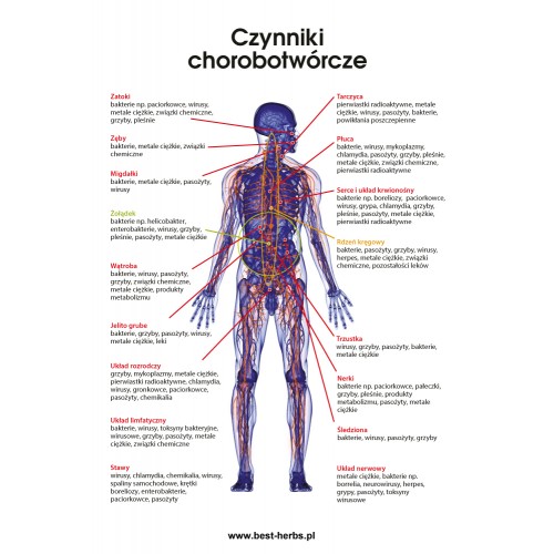 Czynniki chorobotwórcze - białe tło