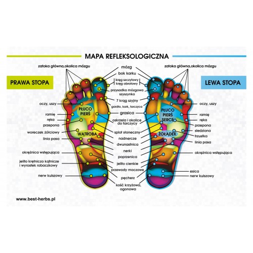 Refleksologia
